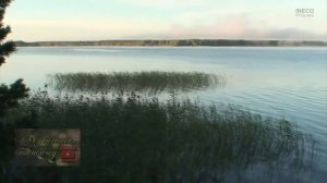 Звуки деревни. Приятные расслабляющие звуки села.