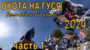 Весенняя охота на гуся / Алтайский край 2024 / Первый гусь сезона / часть 1