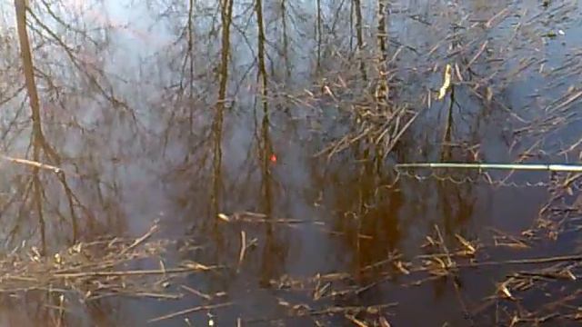 Ловим рыбку смотреть онлайн