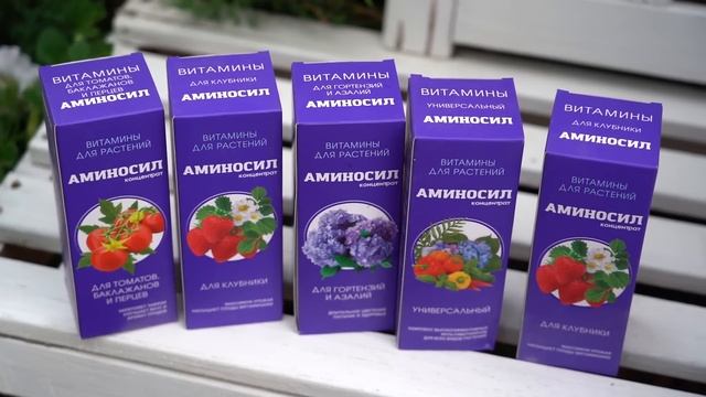 Дачные сезоны с Мариной Рыкалиной от 1 июня 2023 года смотреть онлайн