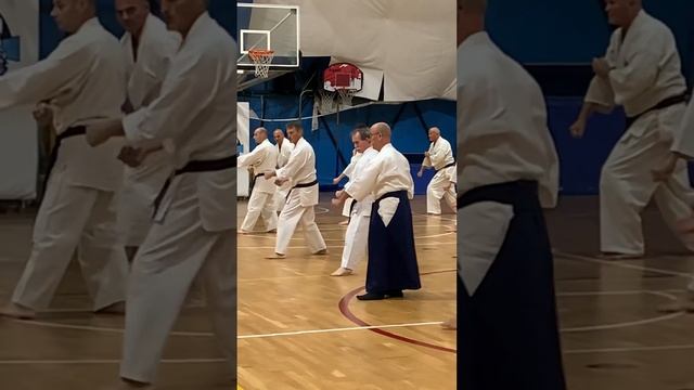 Kanku Den Kata Karate-Do Shotokai stage del 18/11/23  #shotokai #karateshotokan #karate #kata #budo