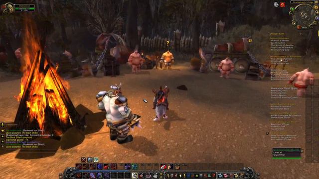 World of Warcraft - The Black Shield