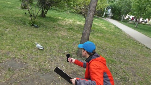 ПРОХОЖИЕ ОТВЕЧАЮТ НА ШКОЛЬНЫЕ ВОПРОСЫ / ОТГАДАЙ ПРОФЕССИЮ ИЛИ ВИКТОРИНА НА ДЕНЬ ПРЕДПРИНИМАТЕЛЯ