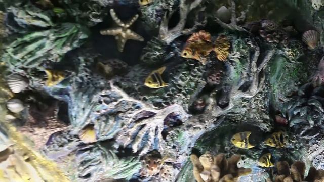 отель "Замок Снов" комната "Лагуна" смотреть онлайн