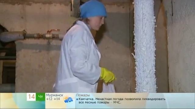 Коммунальщики в подвалах