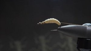 Fly Tying Realistic Caddis Fly Pupa