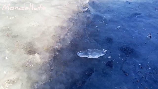 Поздравление