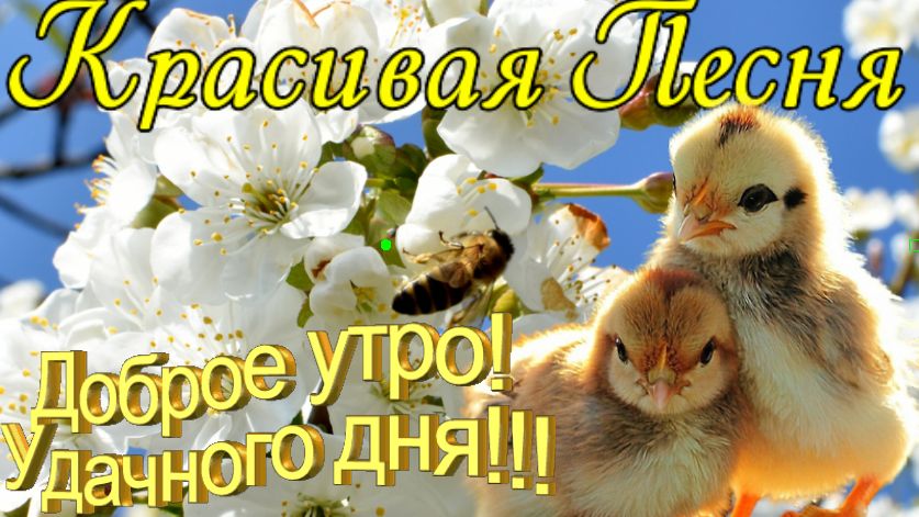 Вот это Песня!!! Обязательно Послушайте! Сильная Песня до Мурашек! Песня Которая Тронет Вашу Ду1.mp4