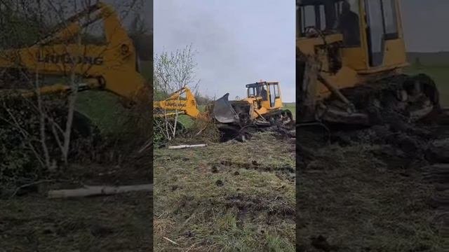 Покатушки - потаскушки.