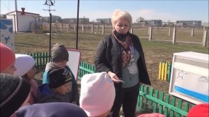 Организация прогулки в ДОУ