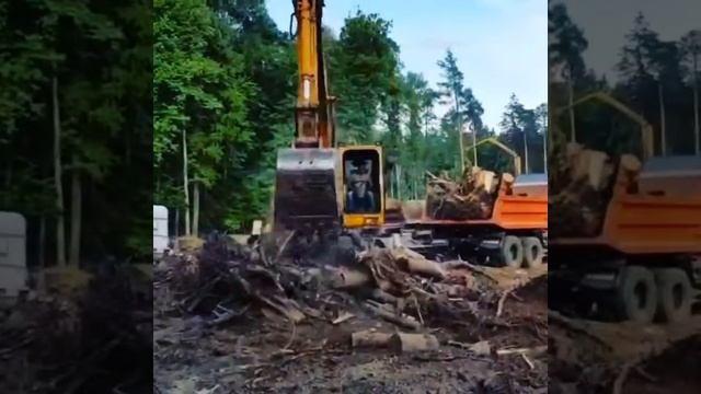 Выкорчевка пней. Расчистка участка. Вывоз корней и порубочных остатков.Московская область г.Подольс