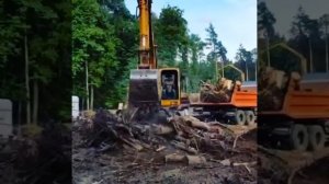 Выкорчевка пней. Расчистка участка. Вывоз корней и порубочных остатков.Московская область г.Подольс