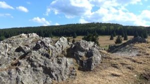 Rock Crawler le Dark Dog au signal de Grendelbruch