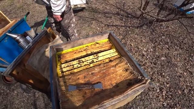 ДВУХМАТОЧНЫЕ СЕМЬИ! РЕВИЗИЯ! Что с ними делать дальше??? смотреть онлайн