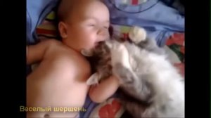 Кошки-няньки. Смотри как нужно успокаивать детей.