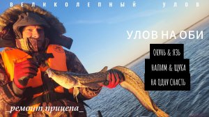 р.ОБЬ | РЫБАЛКА | НАЛИМ НА ТВИСТЕР СОЛНЕЧНЫМ УТРОМ| РЕМОНТ ПРИЦЕПА | ЧАСТЬ 5|