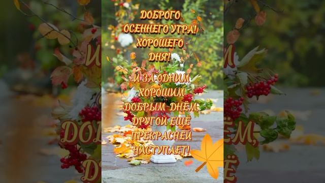 ? Доброго осеннего утра ☕ Прекрасного дня ??? смотреть онлайн