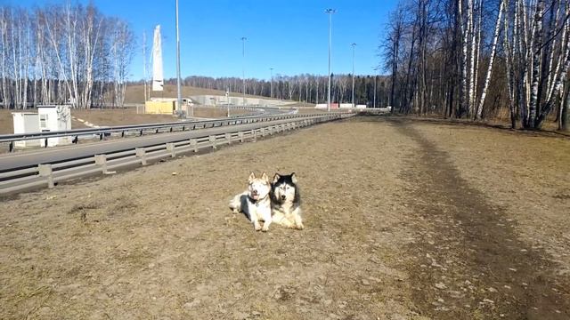 Выдержка при отвлекающих факторах смотреть онлайн