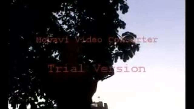 Проповедь Евангелия. Киев, Крещатик, лето 2008 год. смотреть онлайн