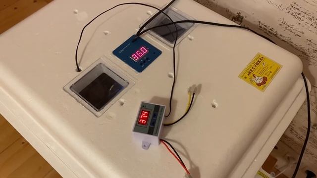 Два эксперимента в инкубаторе. Инкубация куриных яиц смотреть онлайн