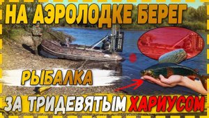Таежная жизнь! За таежным хариусом, река Деп, ключ Таксан. Оттяг по полной