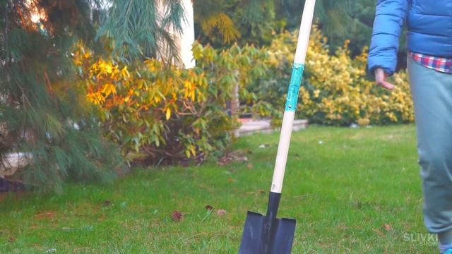 ВЫБИЛИ ЗУБ? НЕ ПРОБЛЕМА! смотреть онлайн