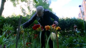 (12+) Дружный подъезд: мытищинцы украсили придомовую территорию цветами и кустарниками