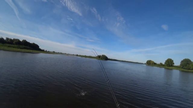 Крупный силикон на щуку.#jerkbait #pike #volgaspintv #рыбалканащуку #спиннинг