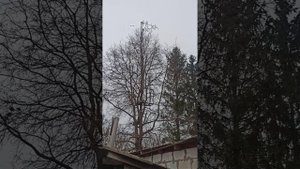 Антенна радиохулигана Удачи