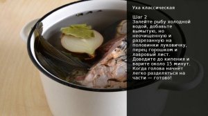 Уха классическая . Рецепт от шеф повара Максима Григорьева