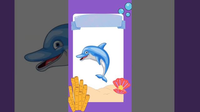 MENGENAL MACAM MACAM HEWAN LAUT | EDUKASI ANAK | QAI_OFFICIAL #seaanimals #fyp #fypシ  #babyshark