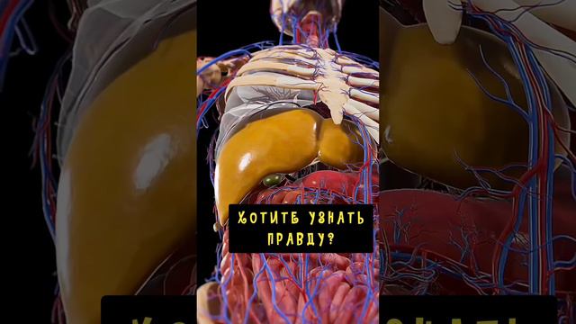 Ознакомьтесь с программой детокса печени. Ссылка в описании👇