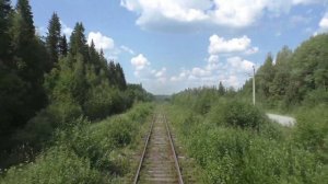 Ручные стрелки и заросшие пути. Малодеятельная ветка Урала. Линия Чусовская — Кузино из окна вагона