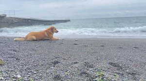 В непогоду море еще прекраснее