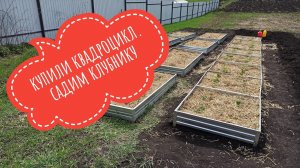 Купили квадроцикл. Садим клубнику #клубника #питомникклубники #linhaiyamaham550l