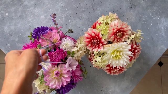 Сентябрь на даче. Лаванда зацвела! Делаю гидролаты, размножаю клубнику. #милыйдом