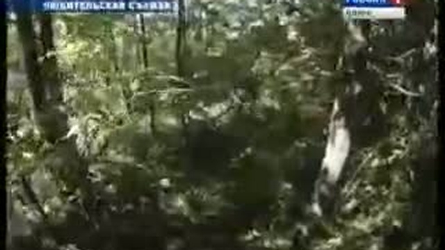 Черные копатели