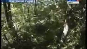 Черные копатели