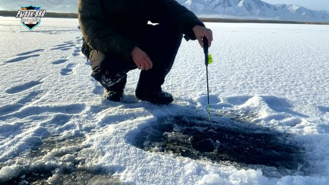 Выезд на рыбалку на первый лет аж в Декабре месяце. Выехали половить окуня!Цель есть этОКУН смотреть онлайн