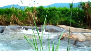 Best Romantic Spanish Guitar |  Relaxation Sensual Latin Music Hits - Spanish Passionate Guitar