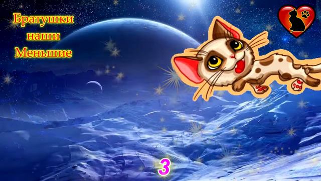 Выберите котенка и узнайте о себе что то новое! Тест смотреть онлайн