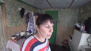 Избавляемся потихоньку! Курица Топчет ? других Кур  Эксперименты ?️??