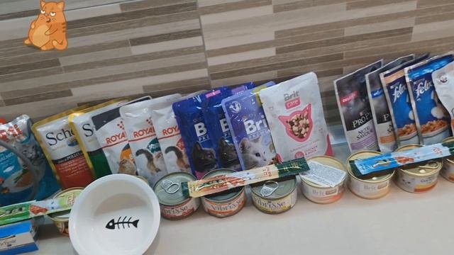 Супер Премиум Корм для Котов. Обзор Кошачьих Кормов Brit Care Pouches морской окунь