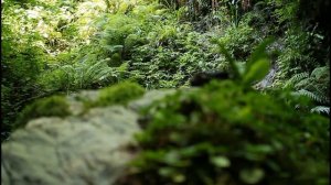 Монастырь "Крестовая пустынь" г. Сочи, Солохаул