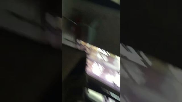 Каракал дома смотреть онлайн