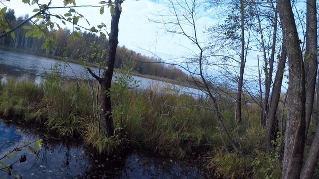 В поисках глухаря!!!! смотреть онлайн