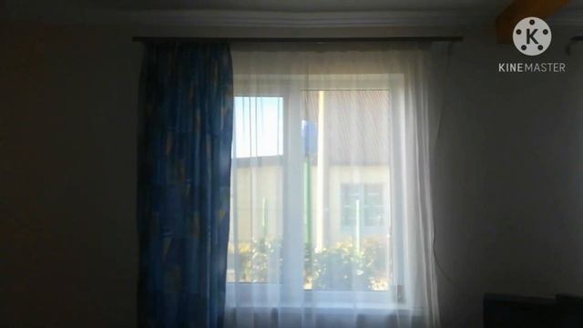 Лучше бы я оставалась на даче и не приезжала в город за ковидом. смотреть онлайн