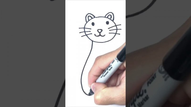 Как нарисовать простого кота пошагово | How to draw a Easy Cat Step by Step