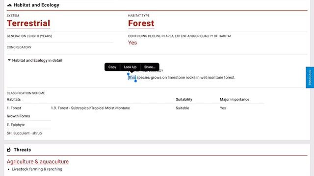 Species - Weberocereus frohningiorum смотреть онлайн