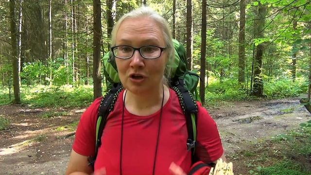 Дорога в Лавру. Второй этап: от Медведково до Пушкино